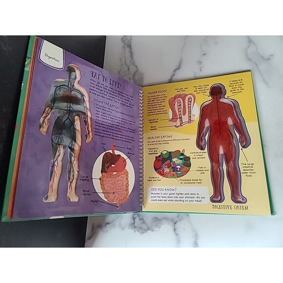 See Inside the Human Body - Hardcover By Hilton, Samantha - GOOD - Picture 4 of 10